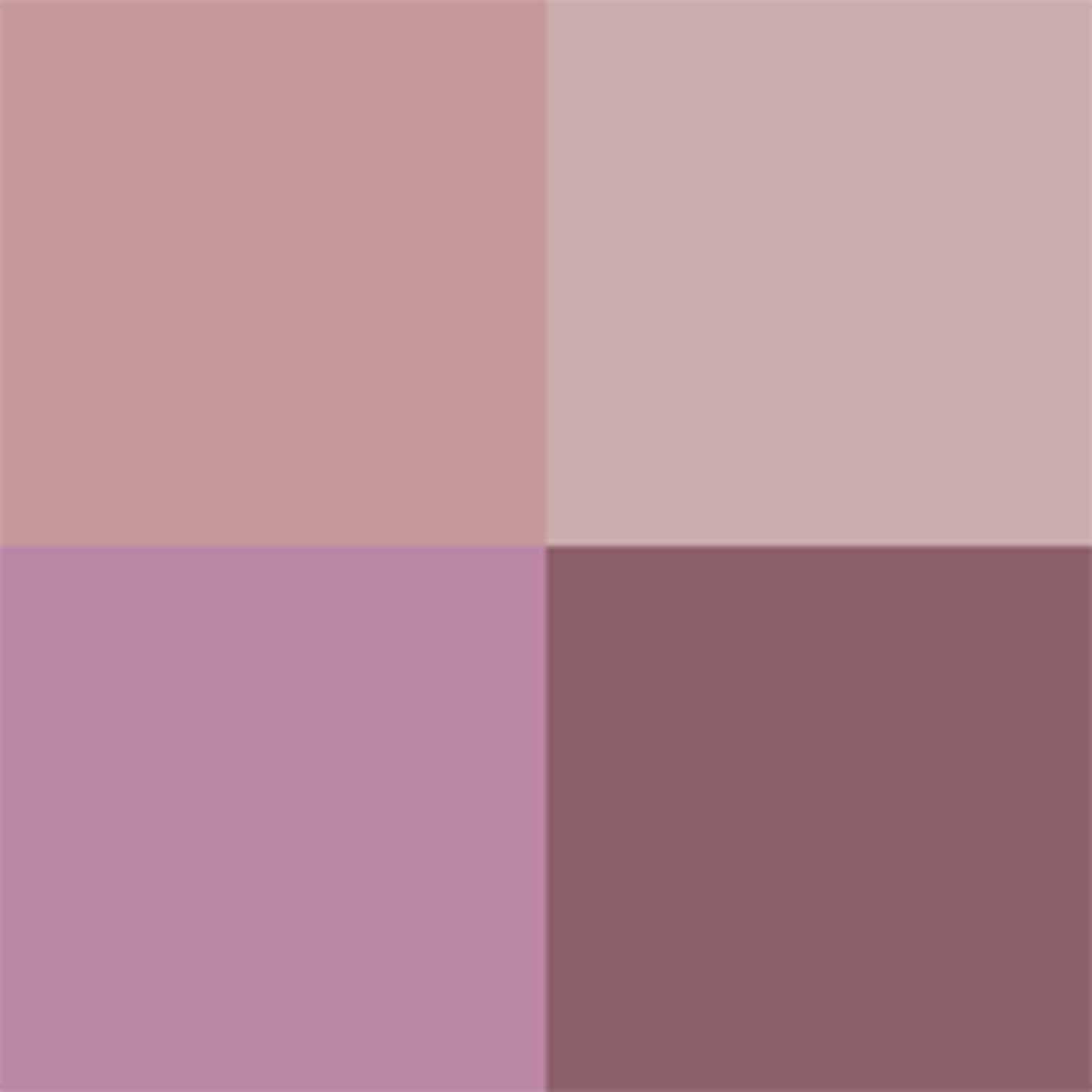 Tom Ford Runway Eye Color Quad